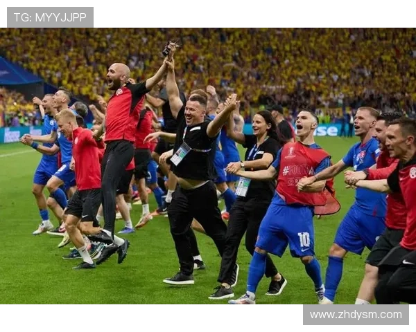 vn欧洲杯(嚄欧洲杯)sports